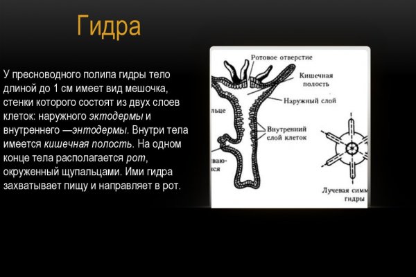 Тор для кракена